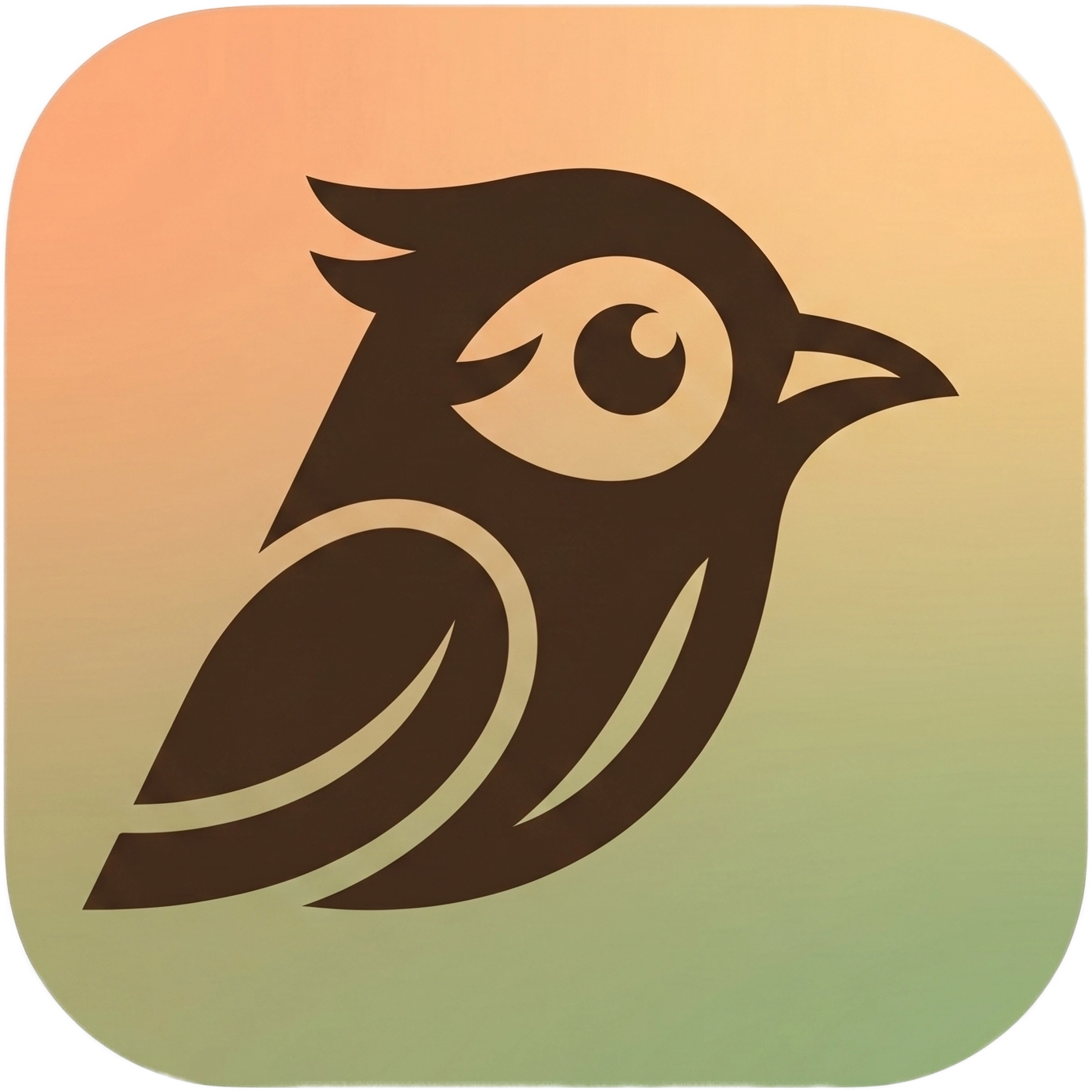 Birdey