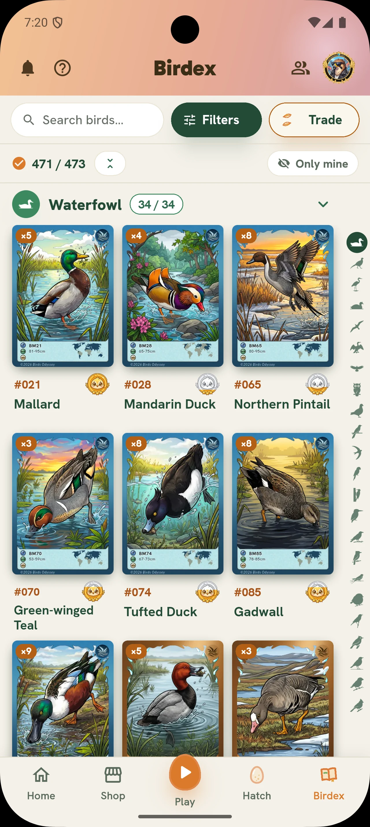 The updated Birdey Birdex, showing a collection of illustrated waterfowl cards
