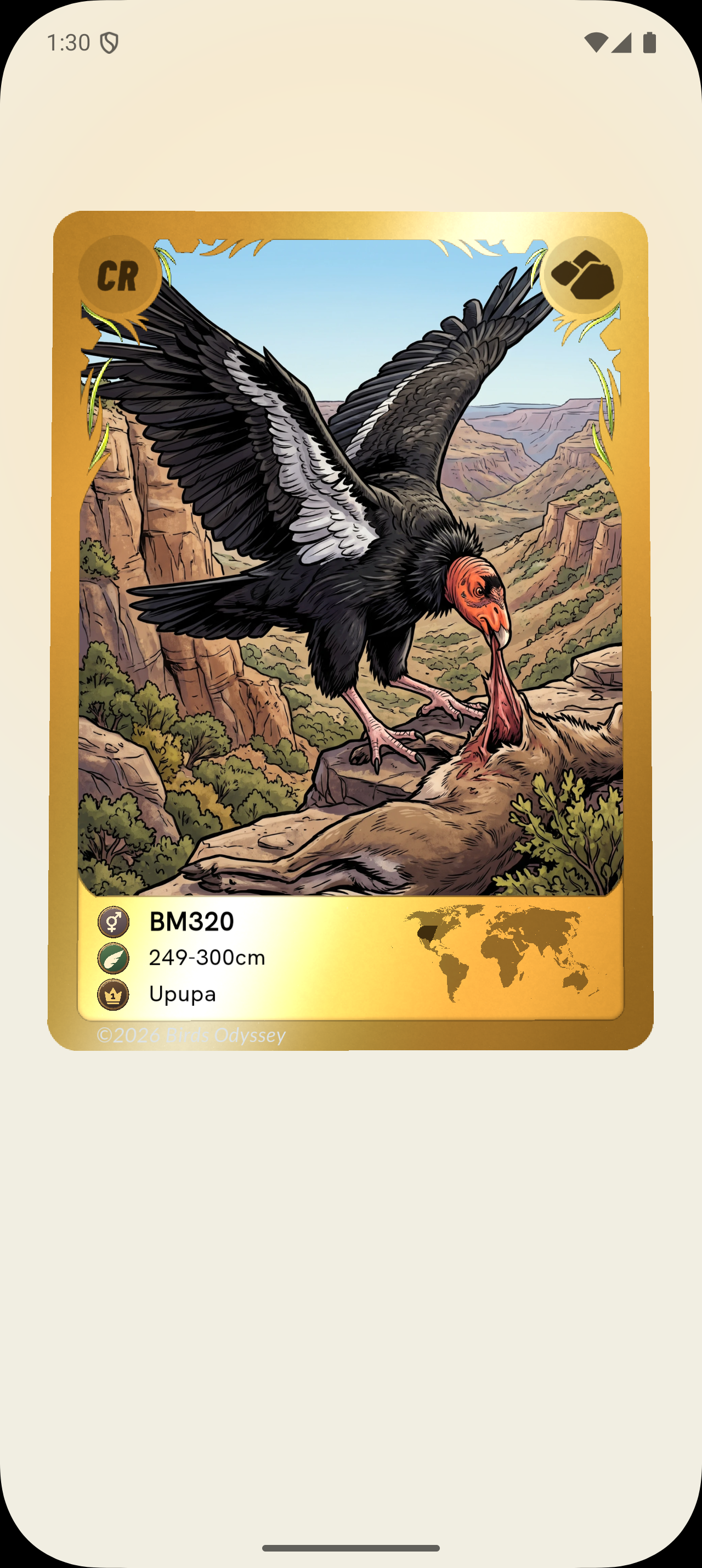 California Condor card from the current Birdey app