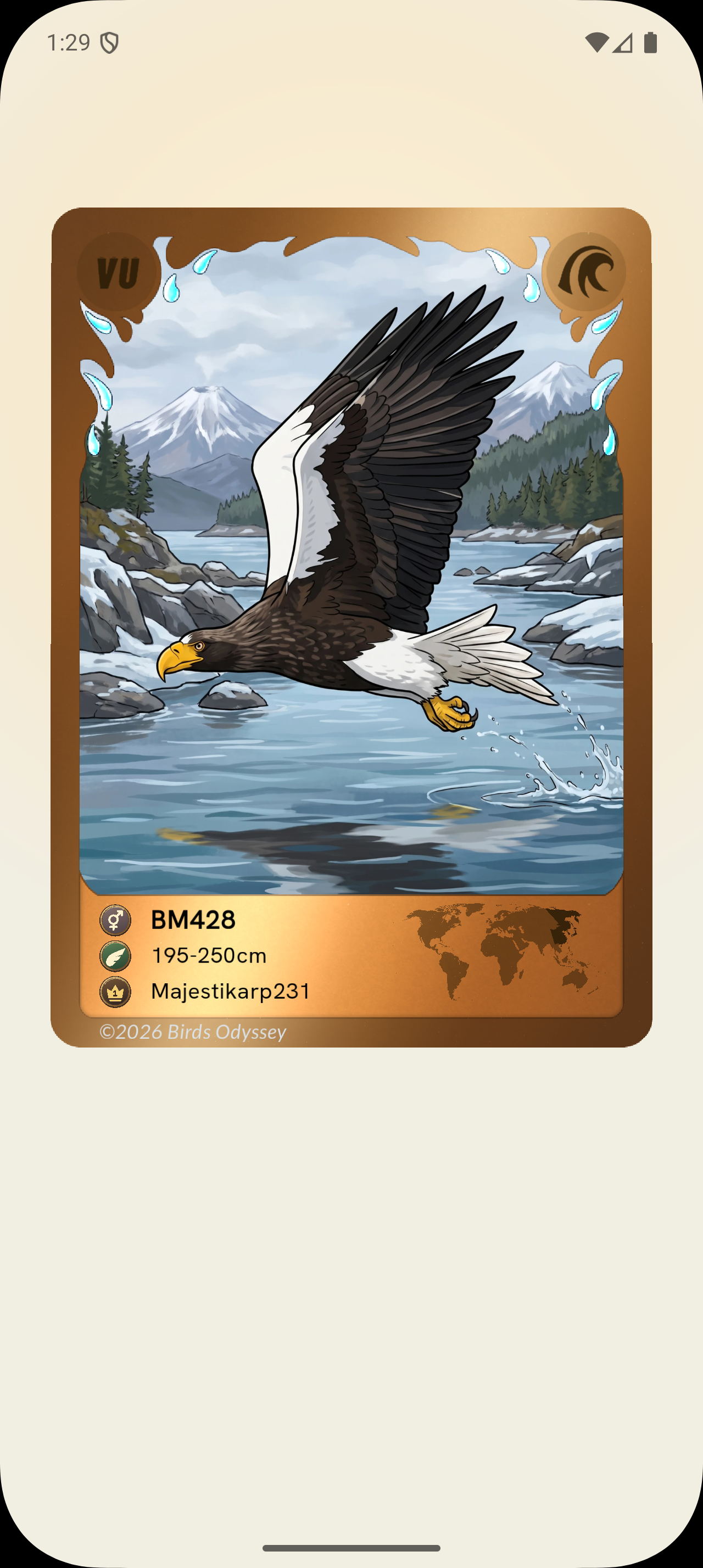 Steller’s Sea-Eagle illustrated Birdey card