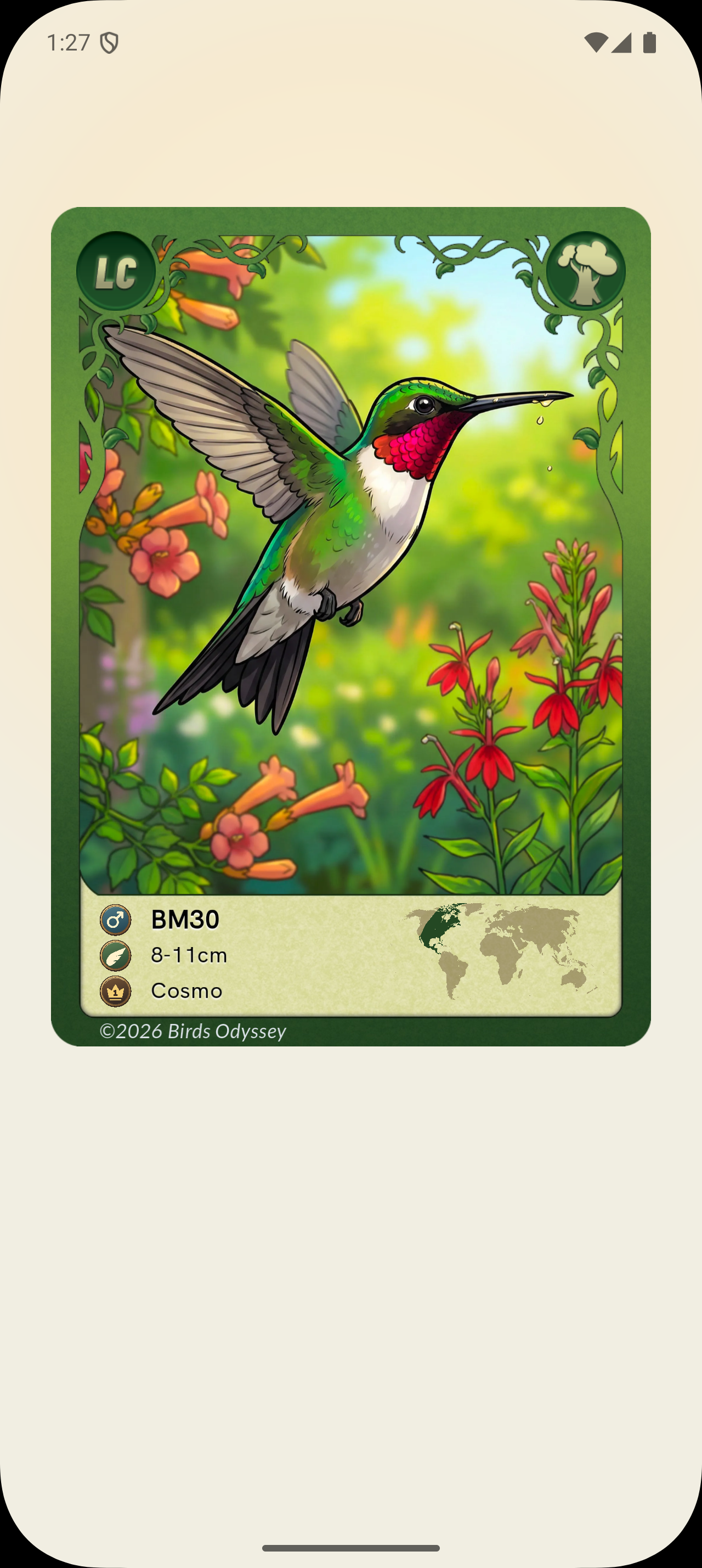 Ruby-throated Hummingbird illustrated Birdey card