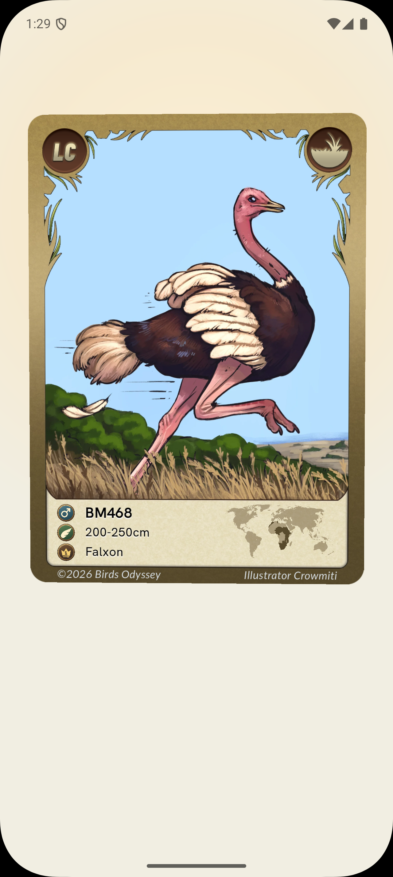 Common Ostrich card from the current Birdey app