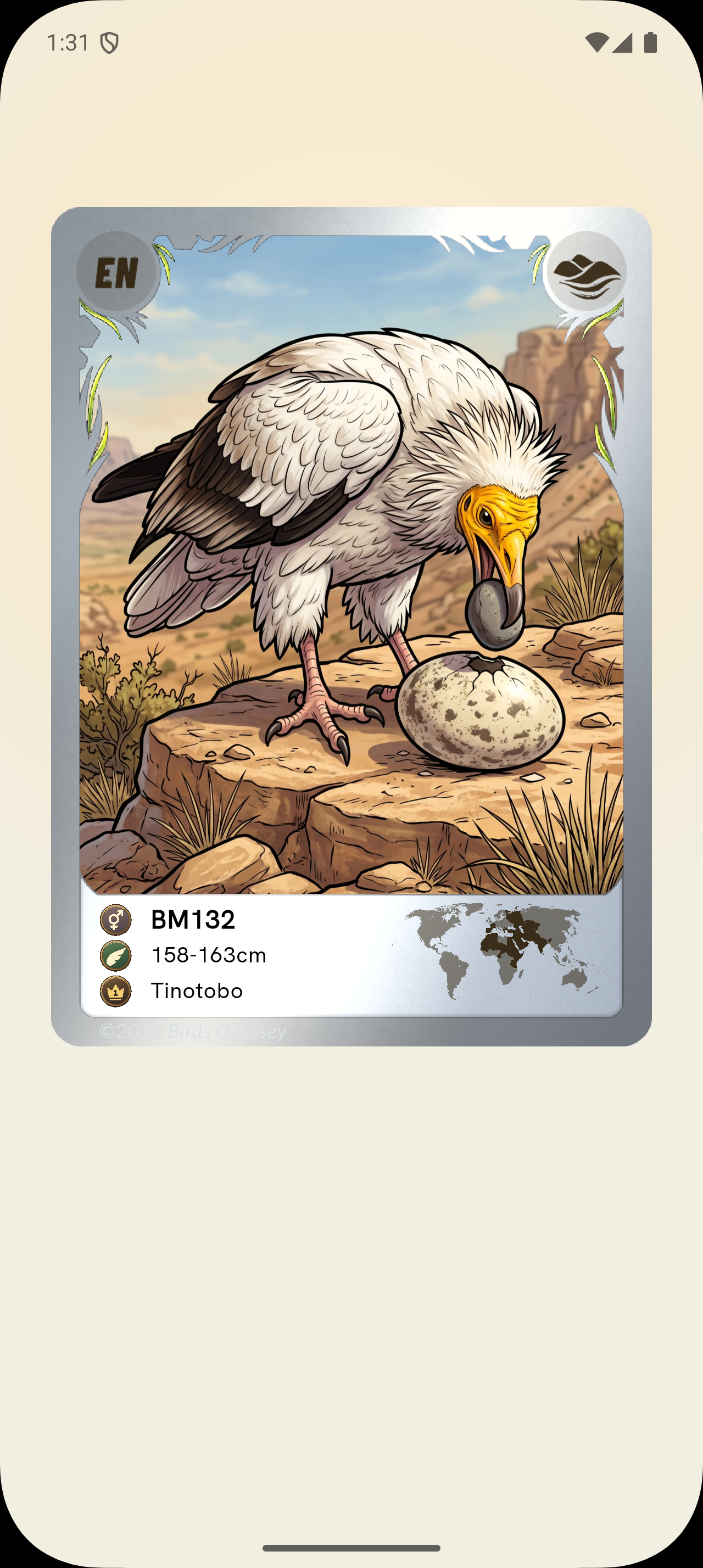 Egyptian Vulture illustrated Birdey card