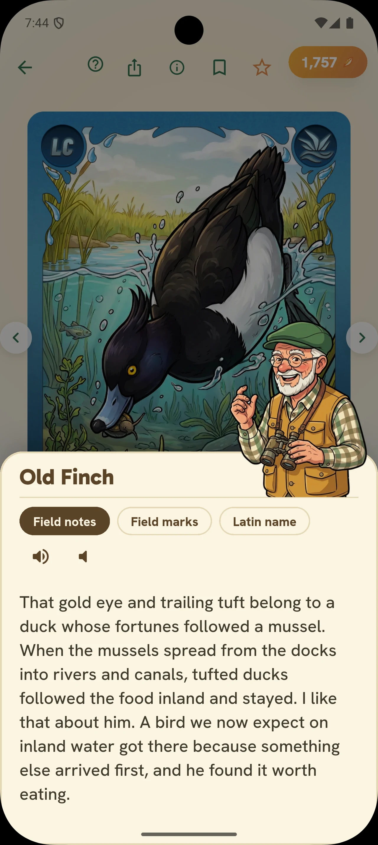 Old Finch’s field notes in the updated Birdey app