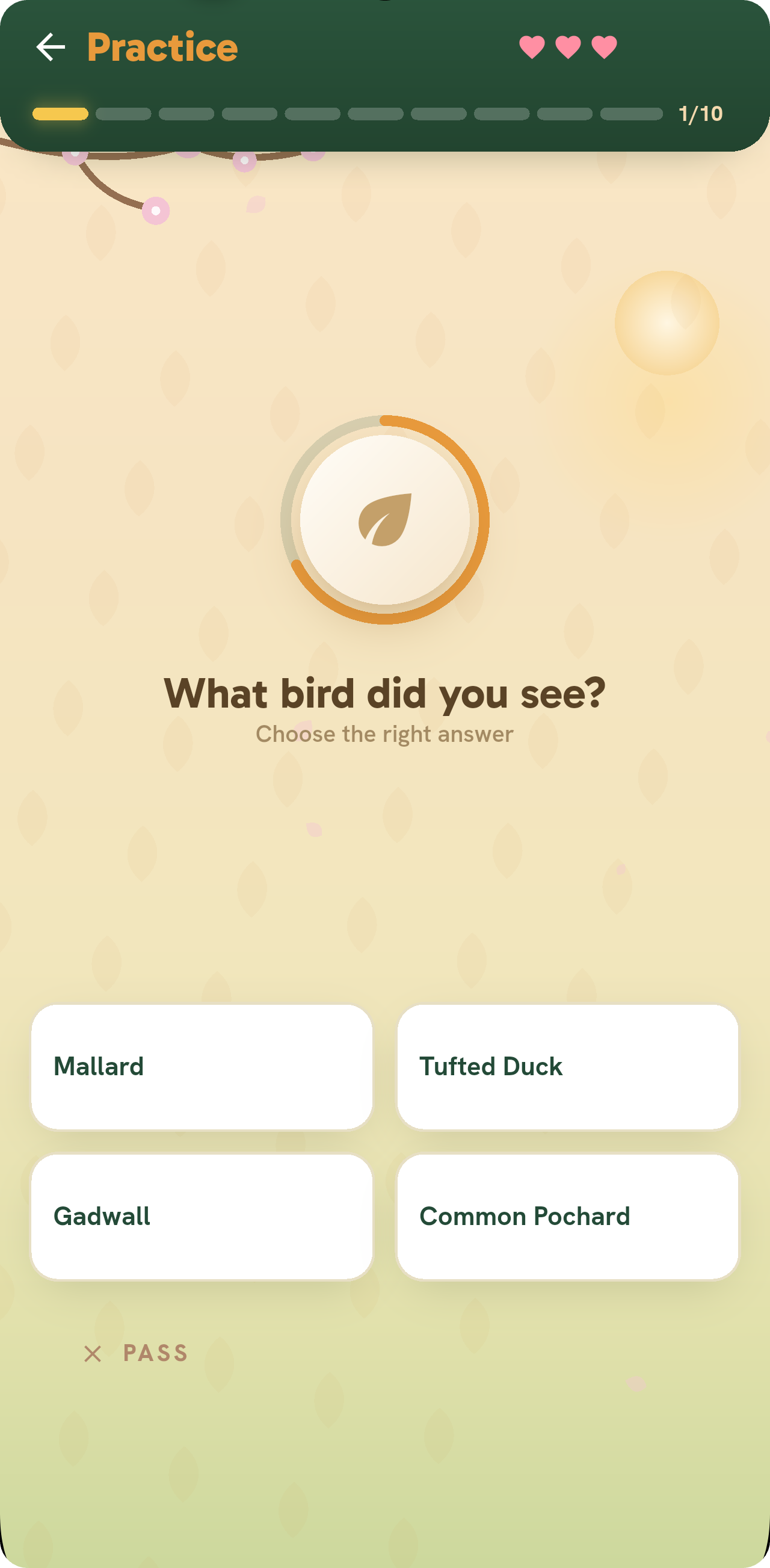 Guess phase: identify the species from memory