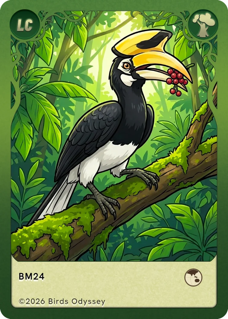 Carte à collectionner Calao pie dans Birdey