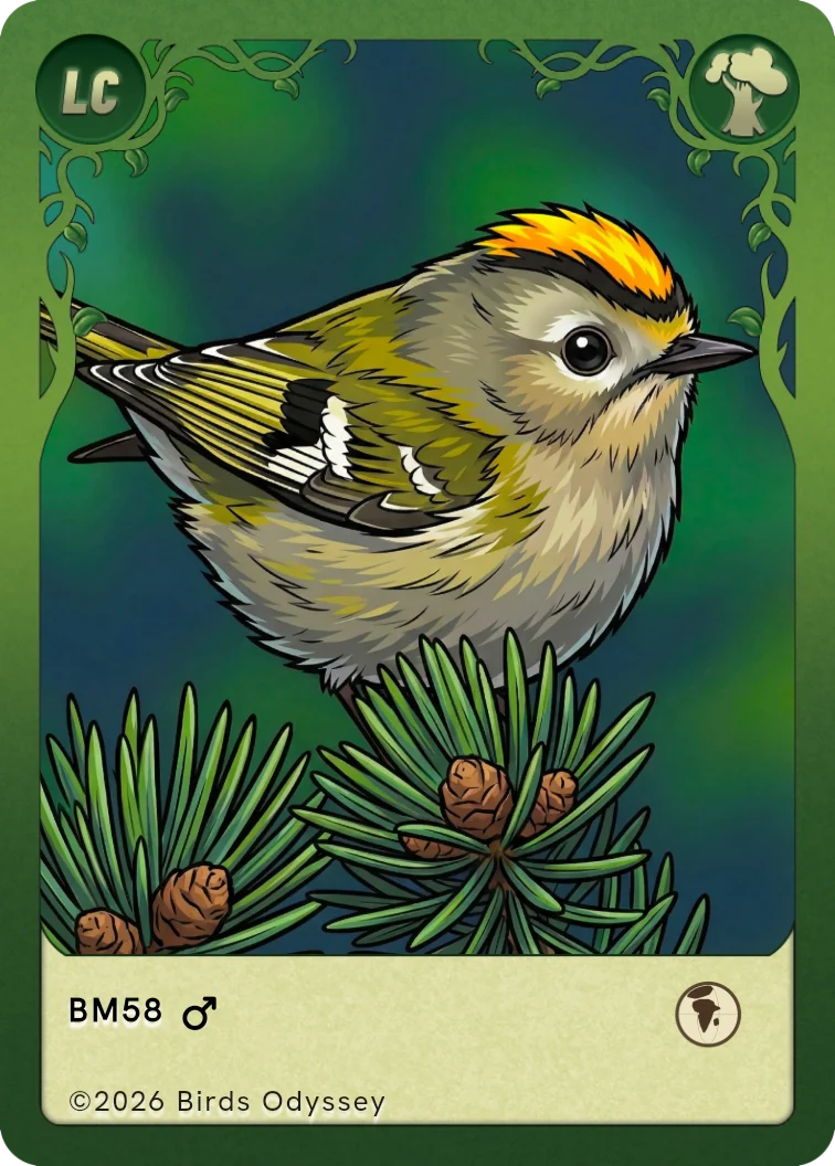 Carta collezionabile di Regolo in Birdey