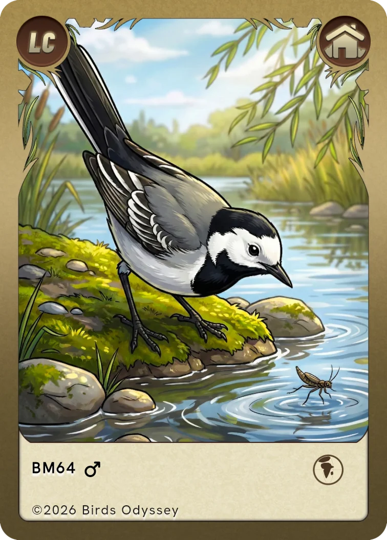 linerle samlekort fra Birdey