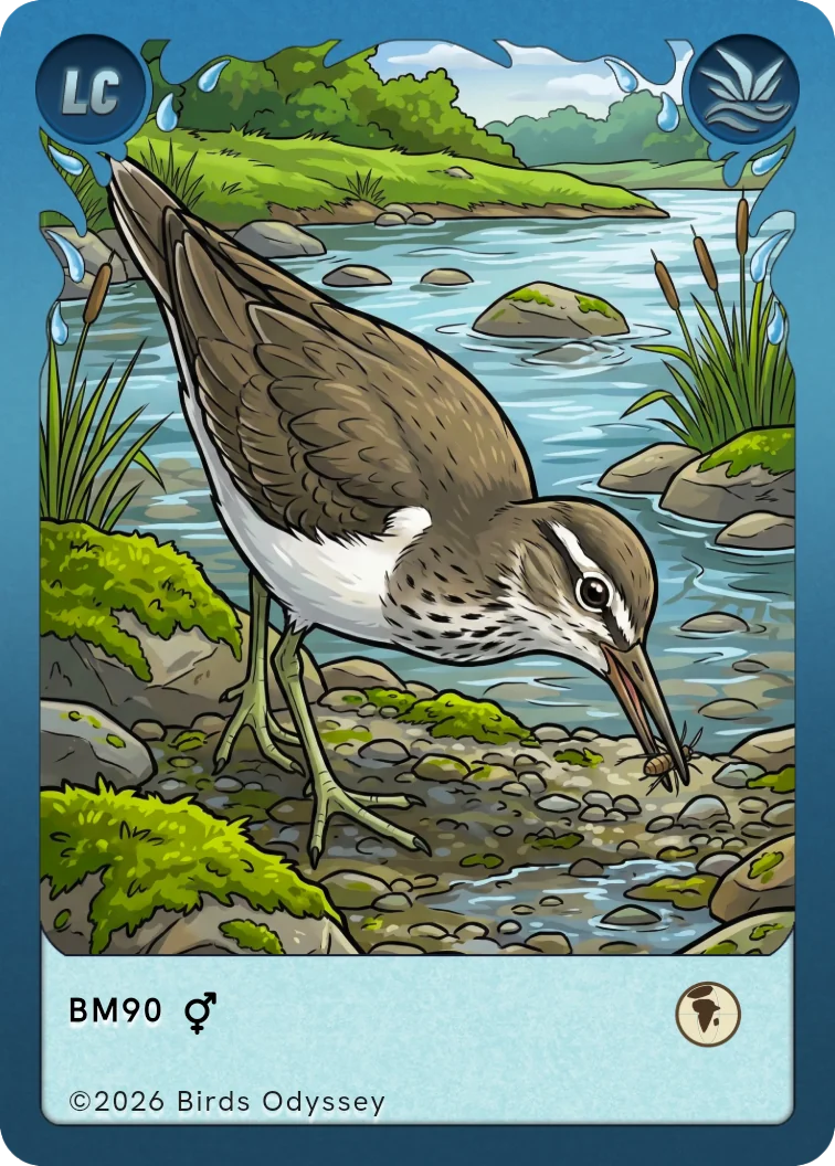 Mudderklire samlekort fra Birdey