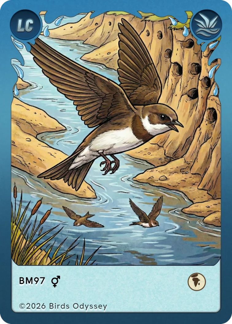 Digesvale samlekort fra Birdey