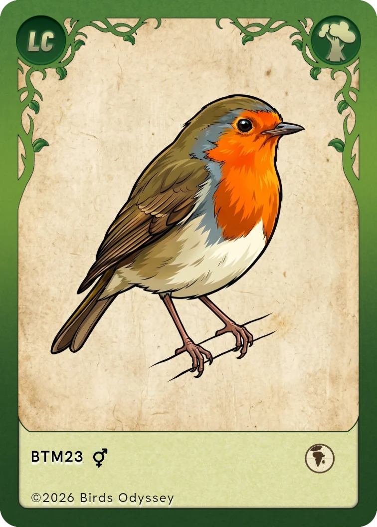 Carta collezionabile di Pettirosso in Birdey